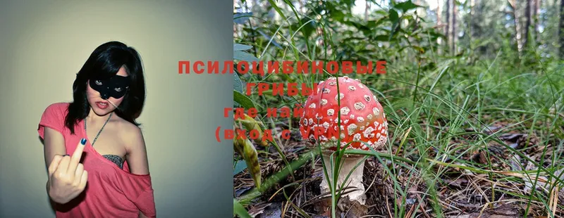 Псилоцибиновые грибы MAGIC MUSHROOMS  купить  цена  Александровск-Сахалинский 